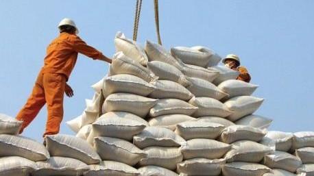 لغو ممنوعیت واردات برنج در فصل برداشت